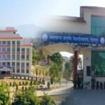 hindi-news