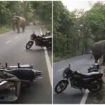 hindi-news
